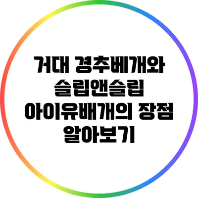거대 경추베개와 슬립앤슬립 아이유배개의 장점 알아보기