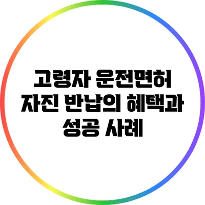 고령자 운전면허 자진 반납의 혜택과 성공 사례