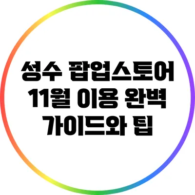 성수 팝업스토어 11월 이용 완벽 가이드와 팁