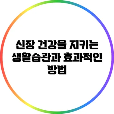 신장 건강을 지키는 생활습관과 효과적인 방법
