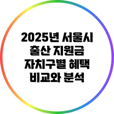 2025년 서울시 출산 지원금: 자치구별 혜택 비교와 분석