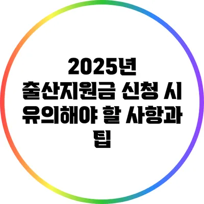 2025년 출산지원금 신청 시 유의해야 할 사항과 팁