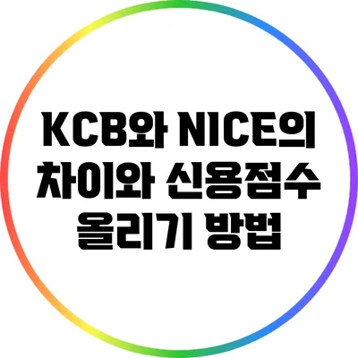 KCB와 NICE의 차이와 신용점수 올리기 방법