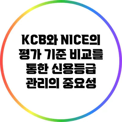 KCB와 NICE의 평가 기준 비교를 통한 신용등급 관리의 중요성