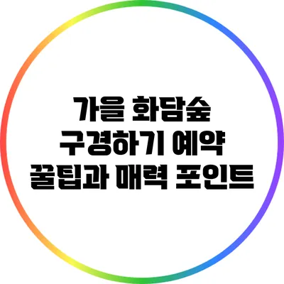 가을 화담숲 구경하기: 예약 꿀팁과 매력 포인트