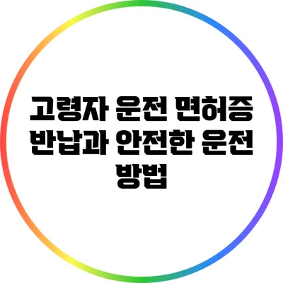 고령자 운전 면허증 반납과 안전한 운전 방법