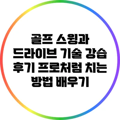 골프 스윙과 드라이브 기술 강습 후기: 프로처럼 치는 방법 배우기