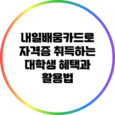 내일배움카드로 자격증 취득하는 대학생 혜택과 활용법