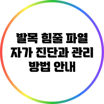 발목 힘줄 파열 자가 진단과 관리 방법 안내