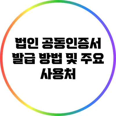 법인 공동인증서: 발급 방법 및 주요 사용처