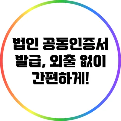 법인 공동인증서 발급, 외출 없이 간편하게!