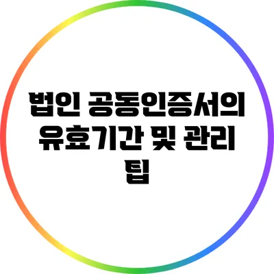 법인 공동인증서의 유효기간 및 관리 팁