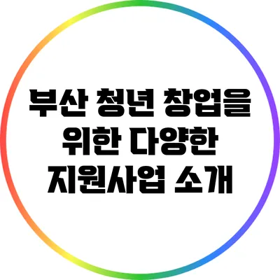 부산 청년 창업을 위한 다양한 지원사업 소개