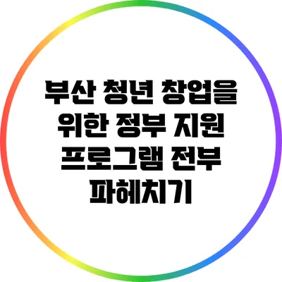 부산 청년 창업을 위한 정부 지원 프로그램 전부 파헤치기