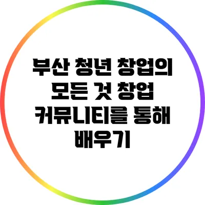 부산 청년 창업의 모든 것: 창업 커뮤니티를 통해 배우기