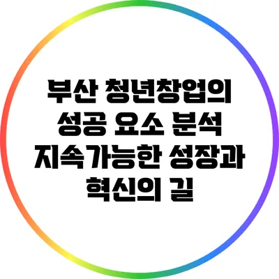 부산 청년창업의 성공 요소 분석: 지속가능한 성장과 혁신의 길