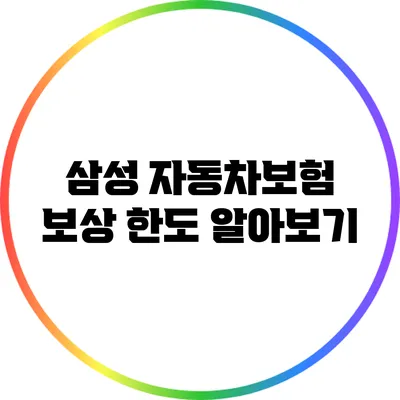삼성 자동차보험 보상 한도 알아보기