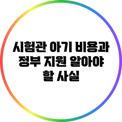 시험관 아기 비용과 정부 지원: 알아야 할 사실