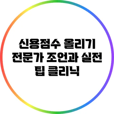 신용점수 올리기: 전문가 조언과 실전 팁 클리닉