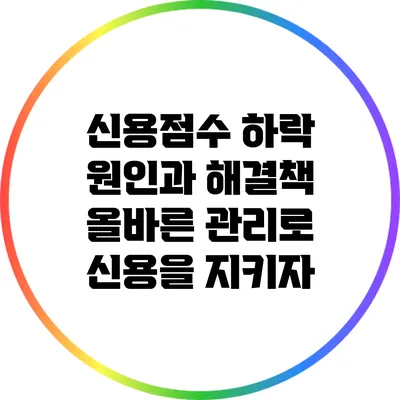 신용점수 하락 원인과 해결책: 올바른 관리로 신용을 지키자