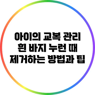 아이의 교복 관리: 흰 바지 누런 때 제거하는 방법과 팁