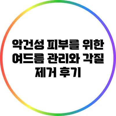 악건성 피부를 위한 여드름 관리와 각질 제거 후기
