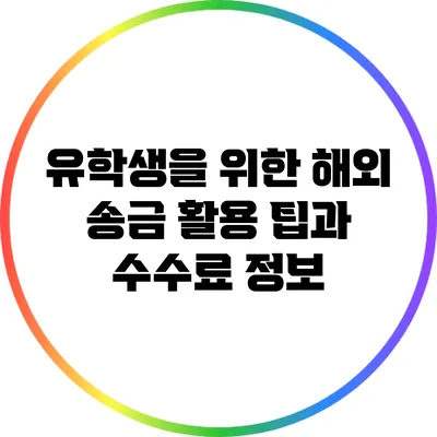 유학생을 위한 해외 송금 활용 팁과 수수료 정보