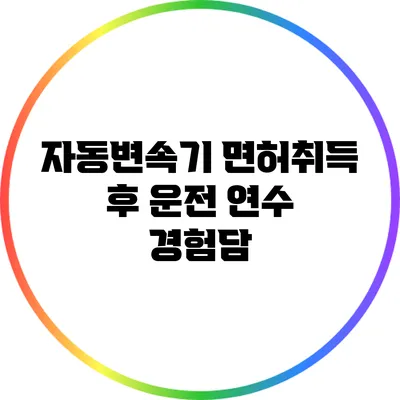 자동변속기 면허취득 후 운전 연수 경험담