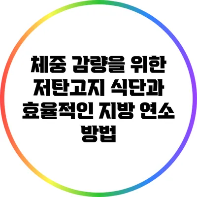 체중 감량을 위한 저탄고지 식단과 효율적인 지방 연소 방법