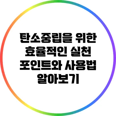 탄소중립을 위한 효율적인 실천 포인트와 사용법 알아보기