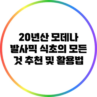20년산 모데나 발사믹 식초의 모든 것: 추천 및 활용법