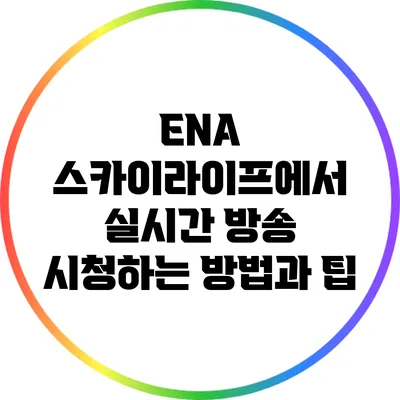 ENA 스카이라이프에서 실시간 방송 시청하는 방법과 팁