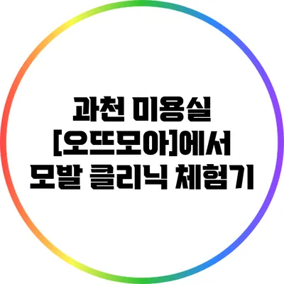 과천 미용실 [오뜨모아]에서 모발 클리닉 체험기
