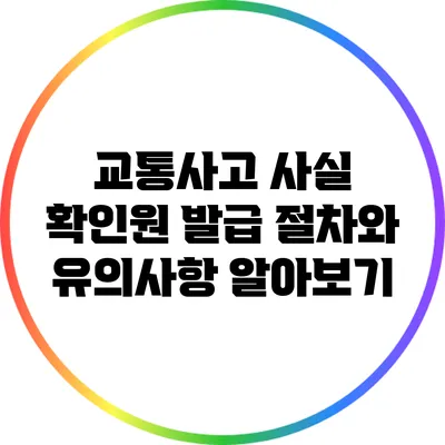 교통사고 사실 확인원 발급 절차와 유의사항 알아보기