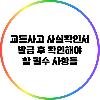 교통사고 사실확인서 발급 후 확인해야 할 필수 사항들