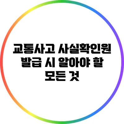 교통사고 사실확인원 발급 시 알아야 할 모든 것