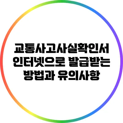 교통사고사실확인서 인터넷으로 발급받는 방법과 유의사항