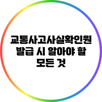 교통사고사실확인원 발급 시 알아야 할 모든 것
