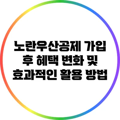 노란우산공제 가입 후 혜택 변화 및 효과적인 활용 방법