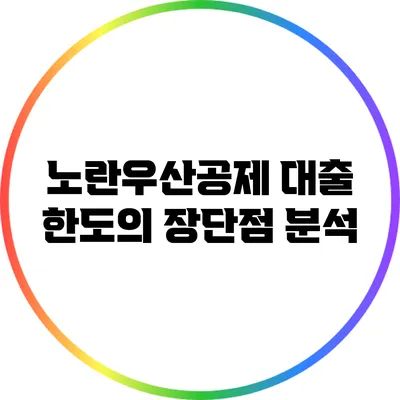 노란우산공제 대출 한도의 장단점 분석