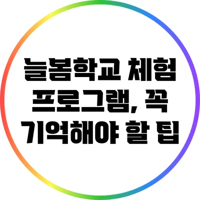 늘봄학교 체험 프로그램, 꼭 기억해야 할 팁
