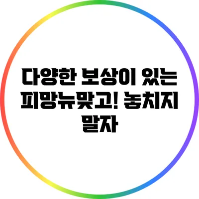 다양한 보상이 있는 피망뉴맞고! 놓치지 말자