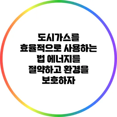 도시가스를 효율적으로 사용하는 법: 에너지를 절약하고 환경을 보호하자