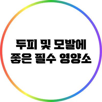 두피 및 모발에 좋은 필수 영양소