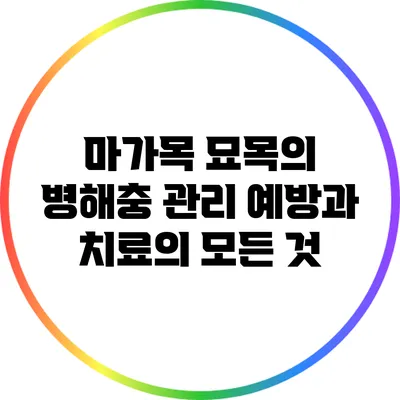 마가목 묘목의 병해충 관리: 예방과 치료의 모든 것