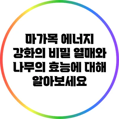 마가목 에너지 강화의 비밀: 열매와 나무의 효능에 대해 알아보세요