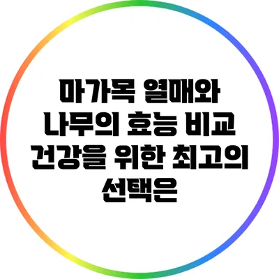 마가목 열매와 나무의 효능 비교: 건강을 위한 최고의 선택은?