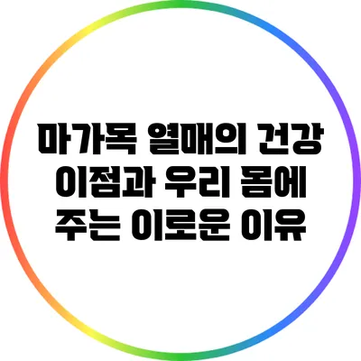 마가목 열매의 건강 이점과 우리 몸에 주는 이로운 이유