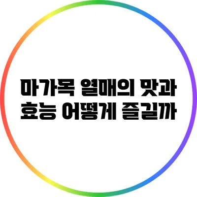 마가목 열매의 맛과 효능: 어떻게 즐길까?