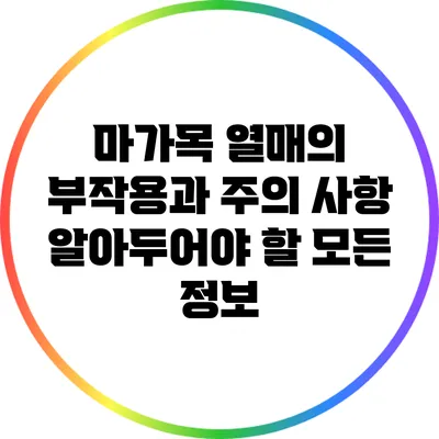마가목 열매의 부작용과 주의 사항: 알아두어야 할 모든 정보